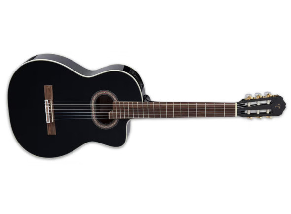 Takamine Takamine